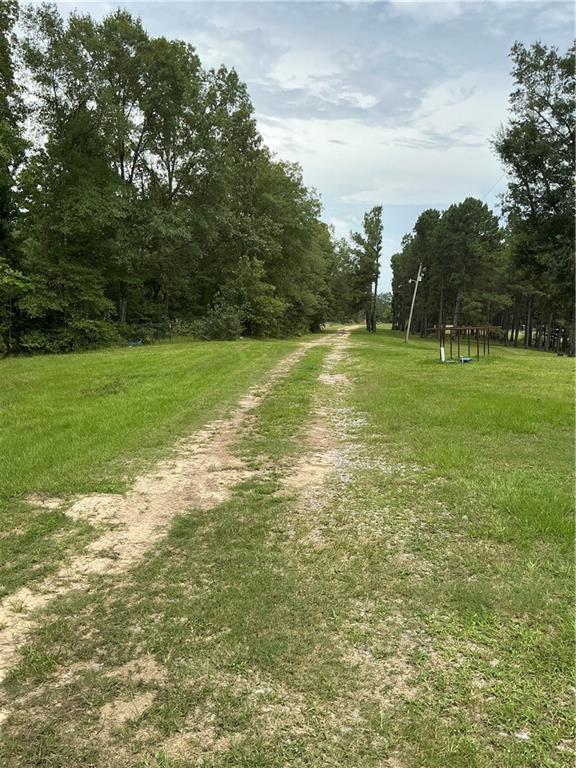 344 Gr Bardwell Road Lena, LA 71447 - Photo 3 of 55