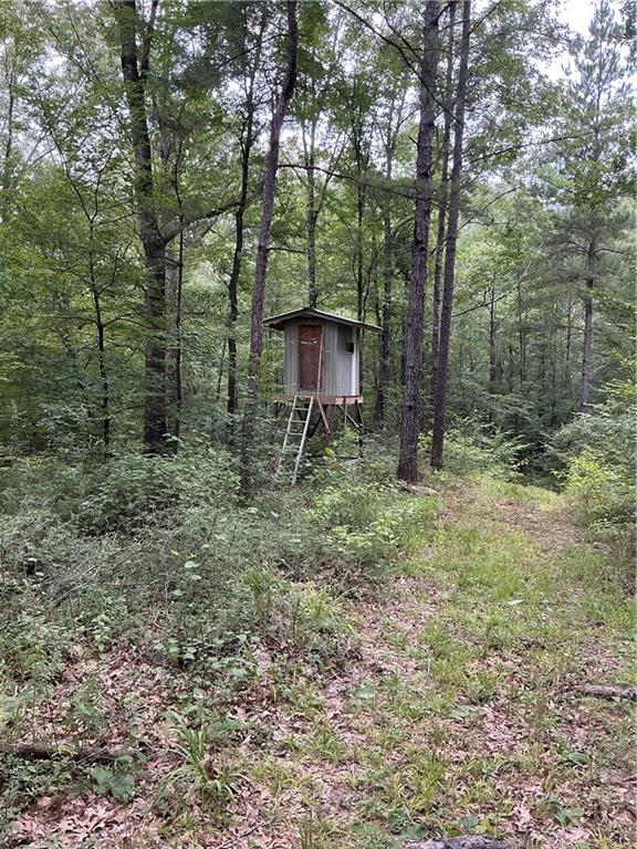 344 Gr Bardwell Road Lena, LA 71447 - Photo 37 of 55