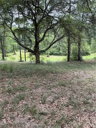 $560,000 | 344 Gr Bardwell Road, Lena, LA 71447