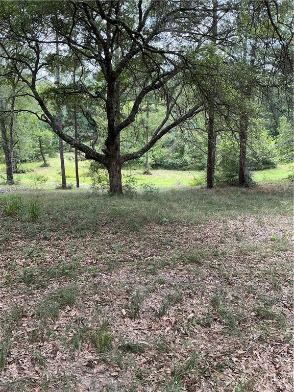 344 Gr Bardwell Road Lena, LA 71447 - Photo 38 of 55