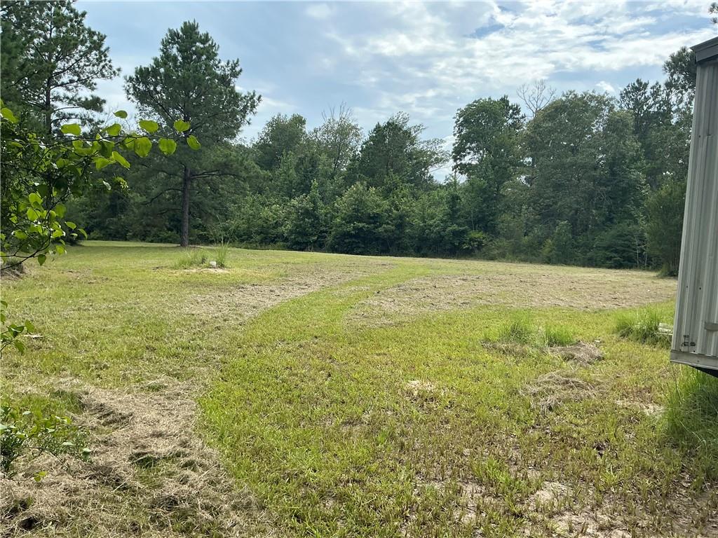 344 Gr Bardwell Road Lena, LA 71447 - Photo 51 of 55