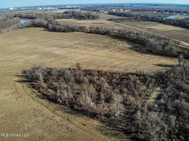 $495,000 | Buckeye Rd Road, Greenwood, MS 38930