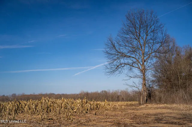 $495,000 | Buckeye Rd Road, Greenwood, MS 38930
