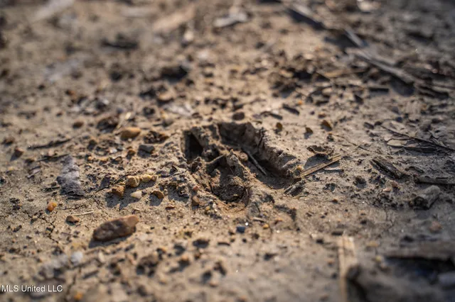 $495,000 | Buckeye Rd Road, Greenwood, MS 38930