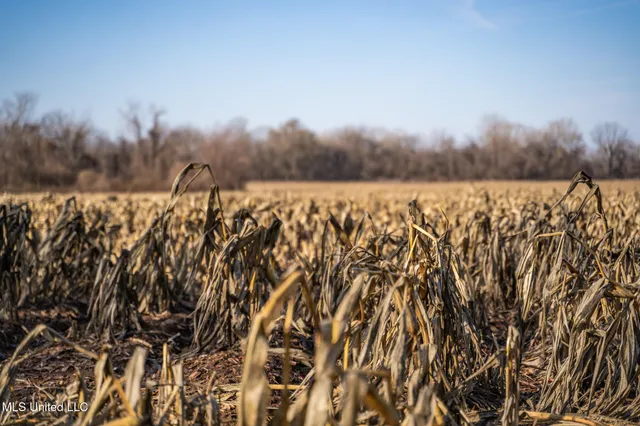 $495,000 | Buckeye Rd Road, Greenwood, MS 38930