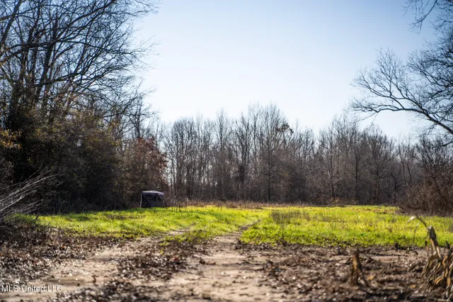 $495,000 | Buckeye Rd Road, Greenwood, MS 38930