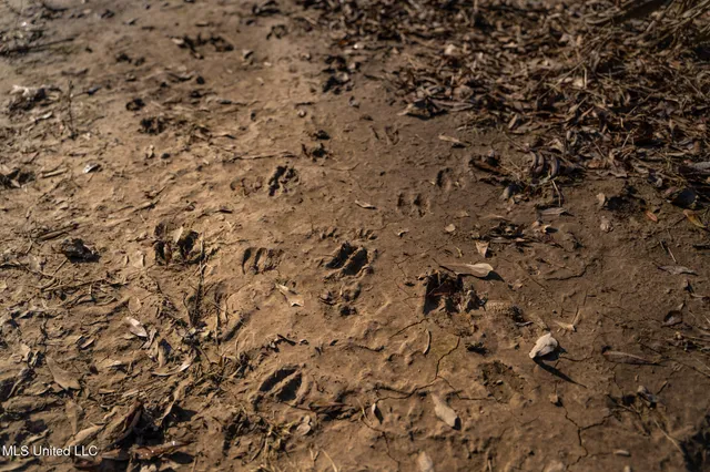 $495,000 | Buckeye Rd Road, Greenwood, MS 38930