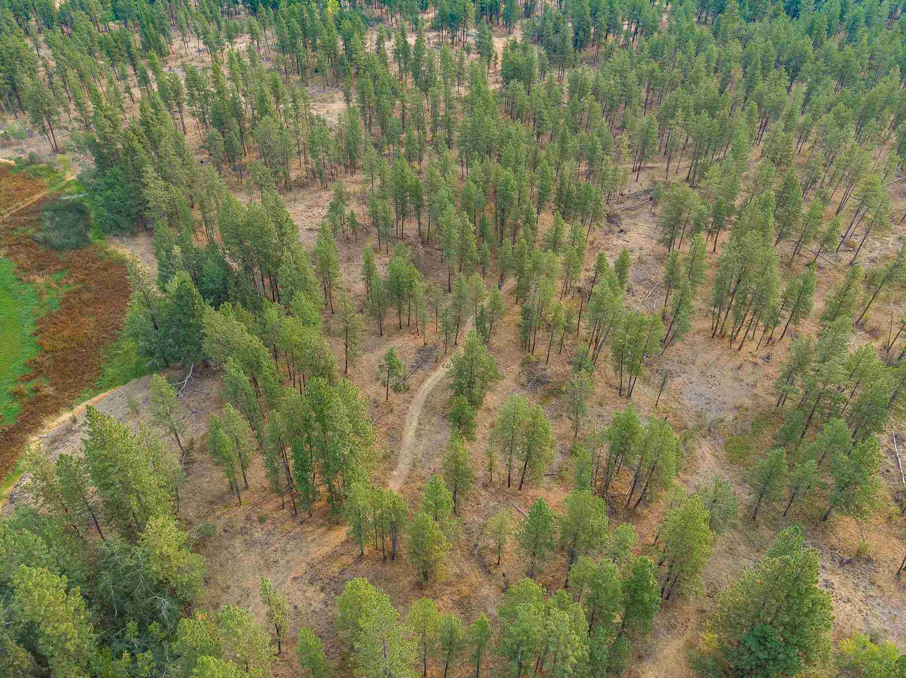 Xxxx South Short Road Cheney, WA 99004 - Photo 5 of 29