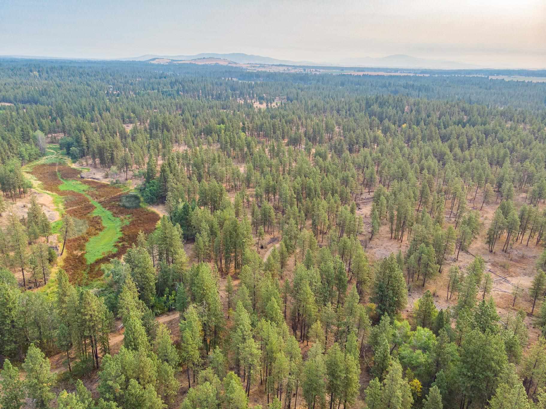 Xxxx South Short Road Cheney, WA 99004 - Photo 6 of 29