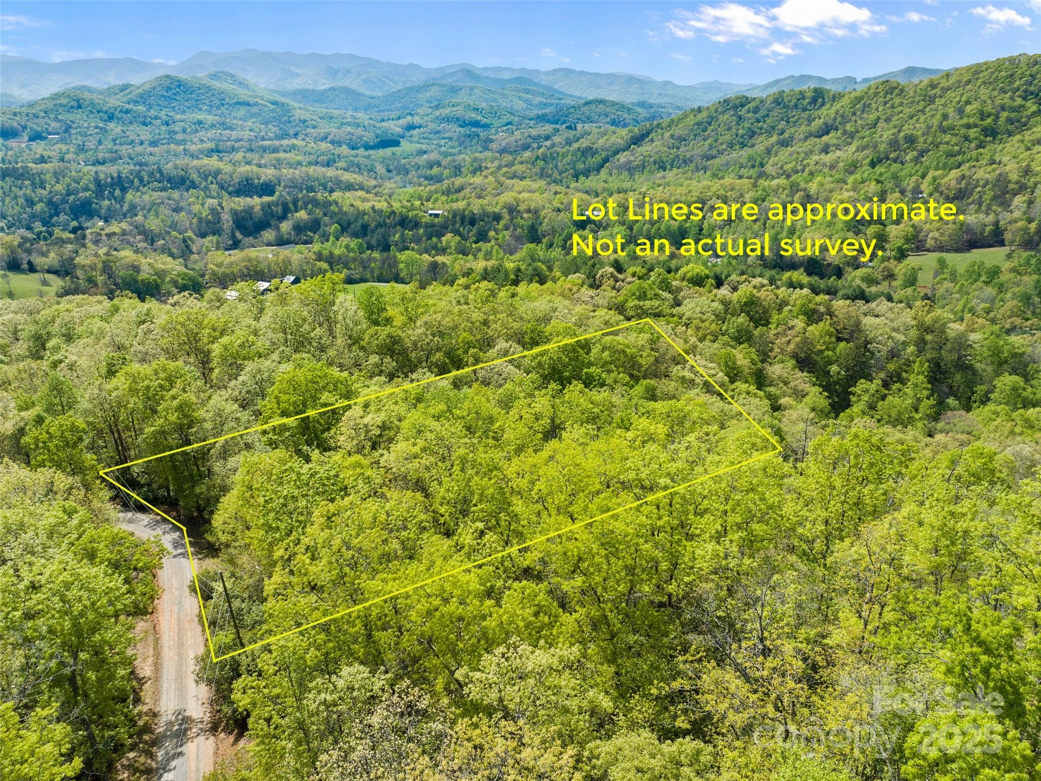 0 Piney Grove Road, Unit 1 Franklin, NC 28734 - Photo 1 of 12 a view of a green field with lots of bushes