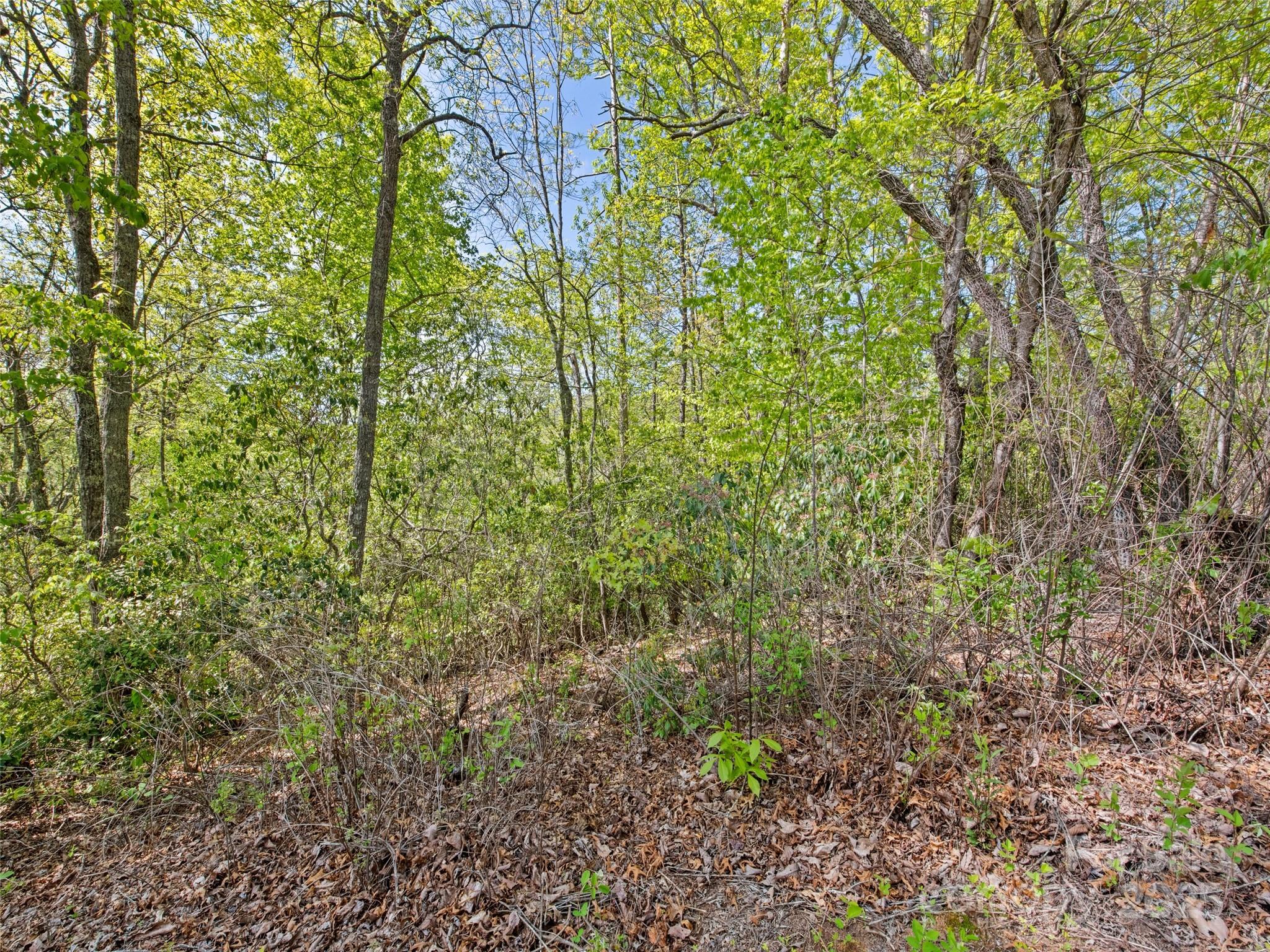0 Piney Grove Road, Unit 1 Franklin, NC 28734 - Photo 12 of 12 a view of a garden