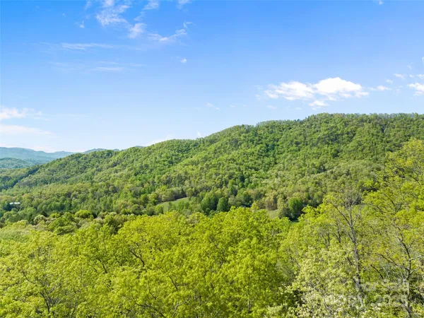 a view of a green field with lots of bushes
