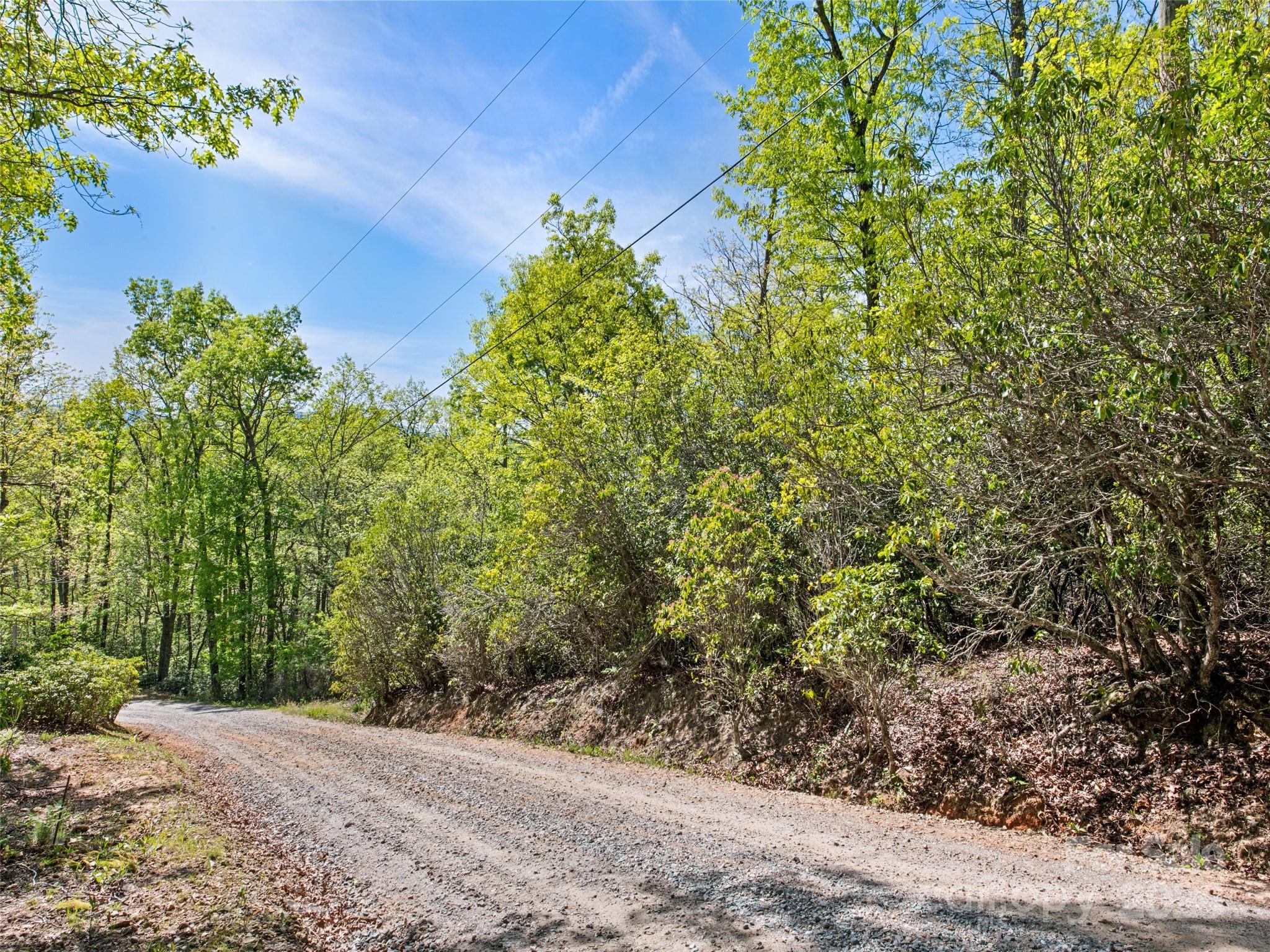 0 Piney Grove Road, Unit 1 Franklin, NC 28734 - Photo 6 of 12 a view of a plants with a tree