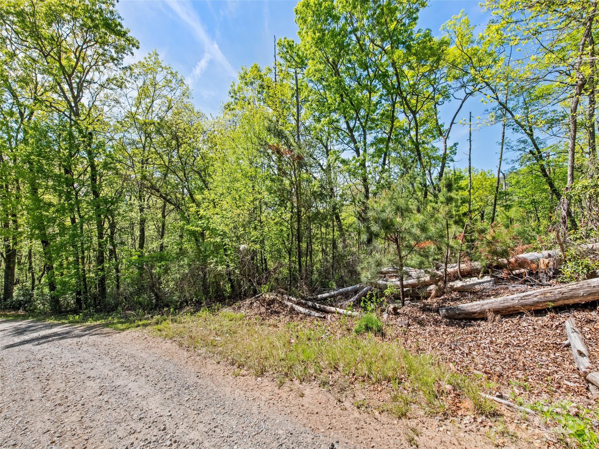 0 Piney Grove Road, Unit 1 Franklin, NC 28734 - Photo 7 of 12 a backyard of a house with lots of green space
