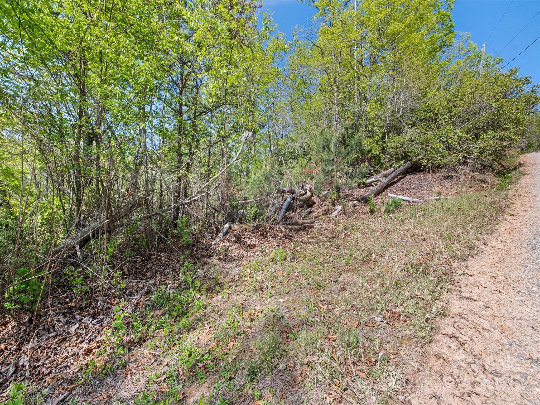 0 Piney Grove Road, Unit 1 Franklin, NC 28734 - Photo 8 of 12 a view of a forest with trees in the background
