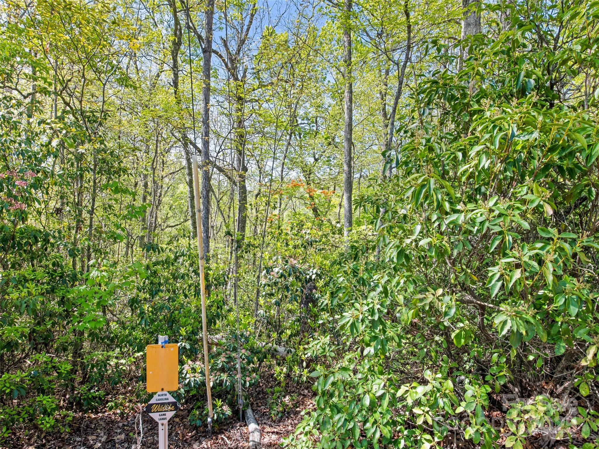 0 Piney Grove Road, Unit 1 Franklin, NC 28734 - Photo 10 of 12