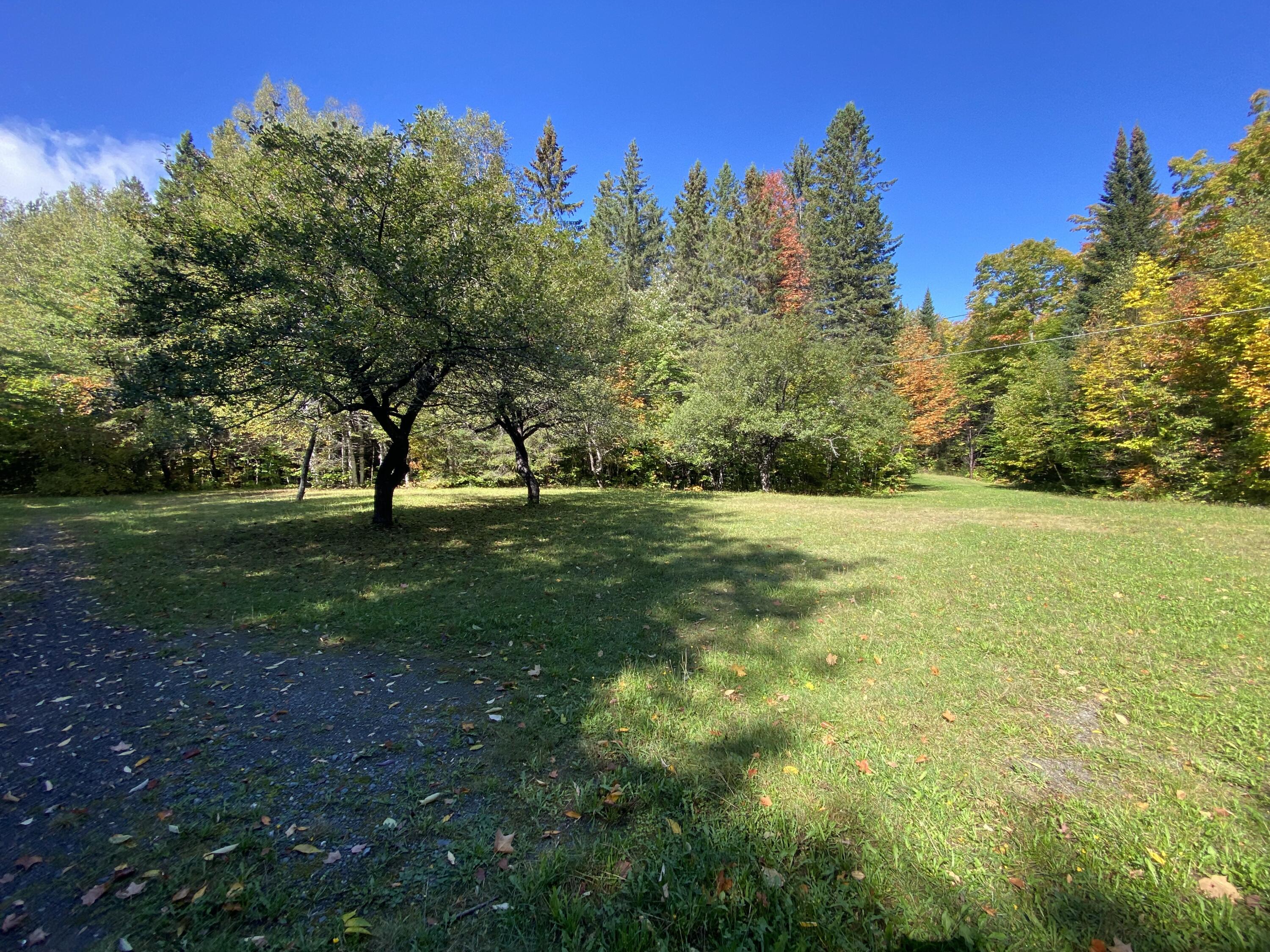 6 Sugartree Road St. David, ME 04773 - Photo 9 of 18 IMG_7268