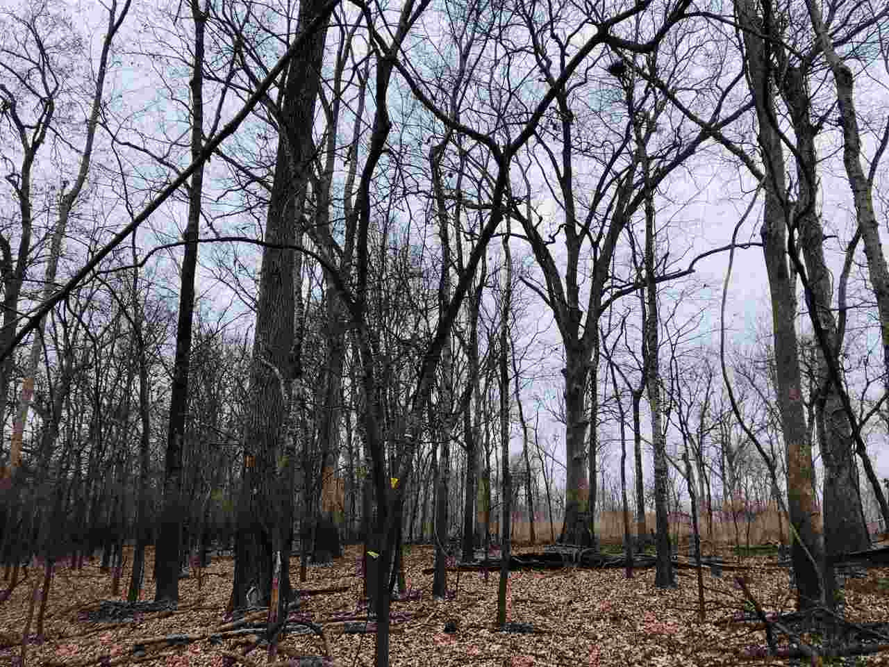 4888 Holly Bluff Road, Unit 1 Rolling Fork, MS 39159 - Photo 6 of 12 Photo 6