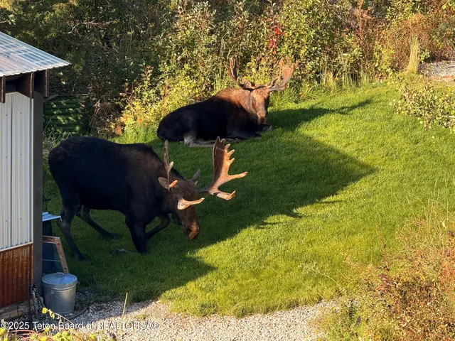 $3,950,000 | 399 Granite Rdg Drive, Alpine, WY 83128