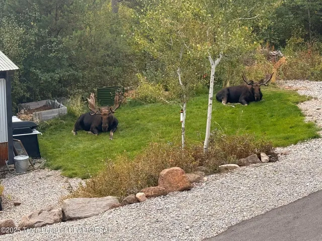 $3,950,000 | 399 Granite Rdg Drive, Alpine, WY 83128