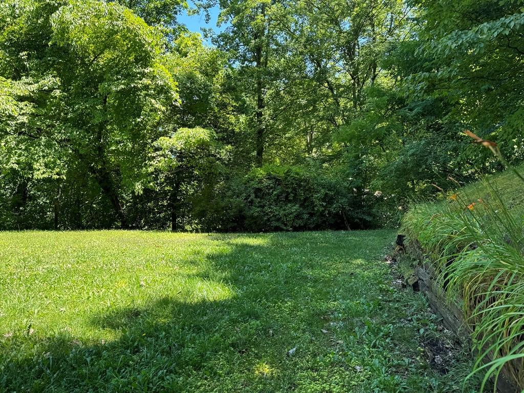 186 Smith Knob Road Andrews, NC 28901 - Photo 25 of 32 Gallery Image 25