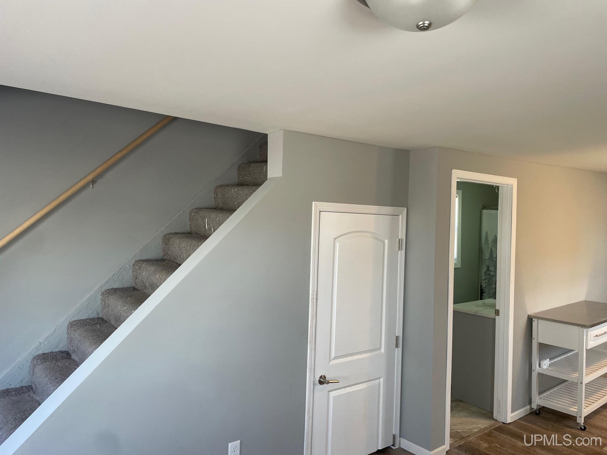 315 South 1st Street Ishpeming, MI 49849 - Photo 2 of 15