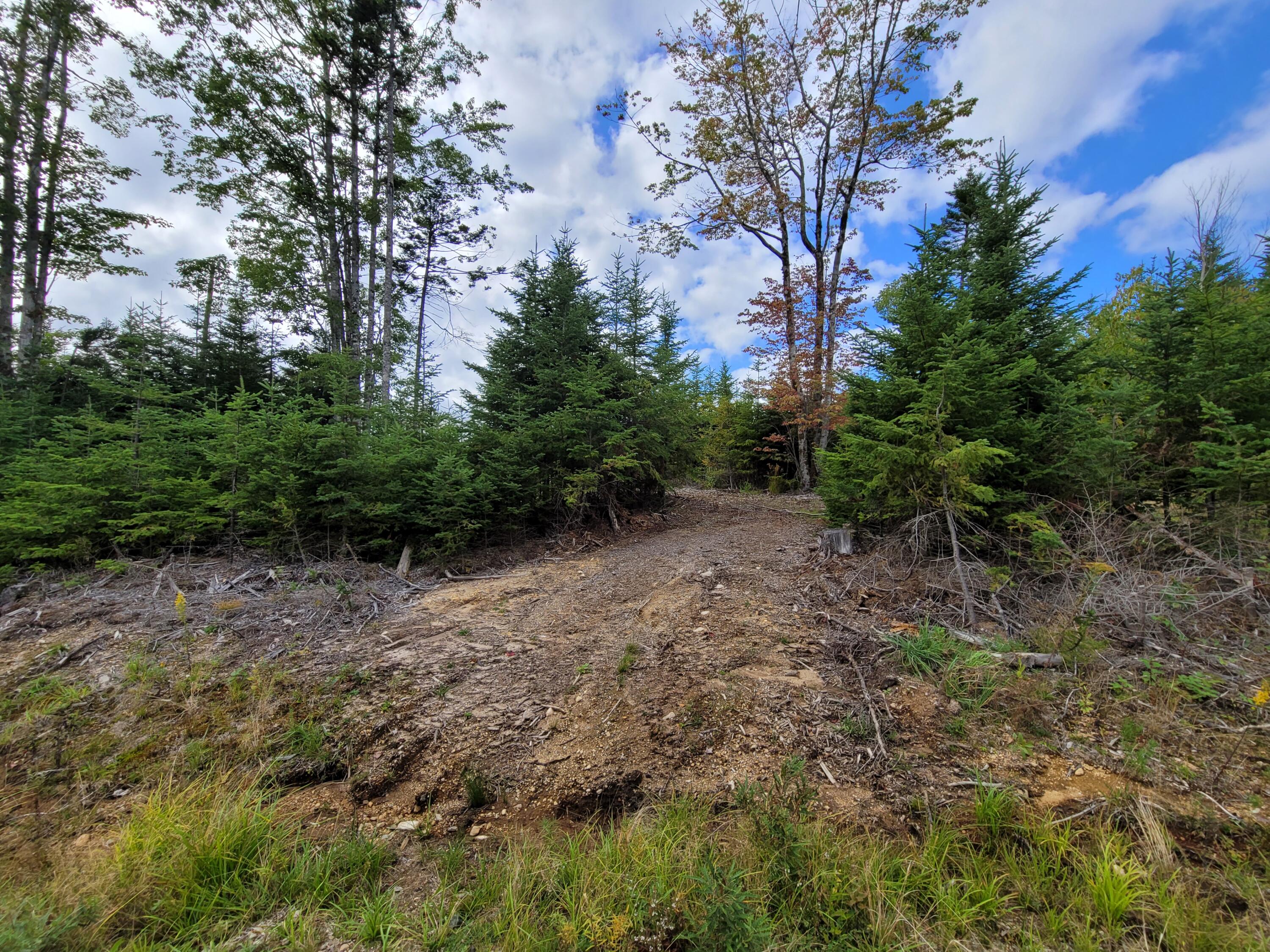 36 Peninsula Shores Road Corea, ME 04624 - Photo 5 of 13 20210921_143211
