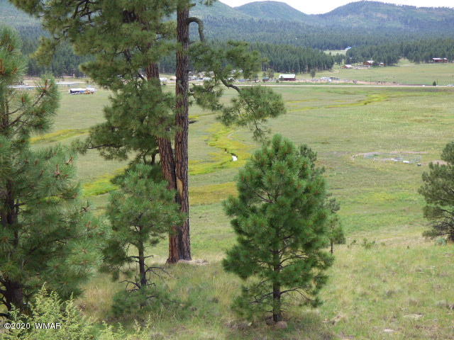 Lot 8 The Ranch Alpine, AZ 85920 - Photo 13 of 26 Gallery Image 13
