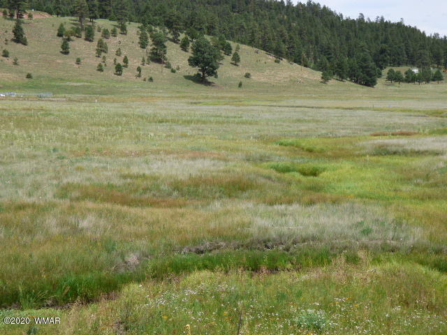 Lot 8 The Ranch Alpine, AZ 85920 - Photo 14 of 26 Gallery Image 14