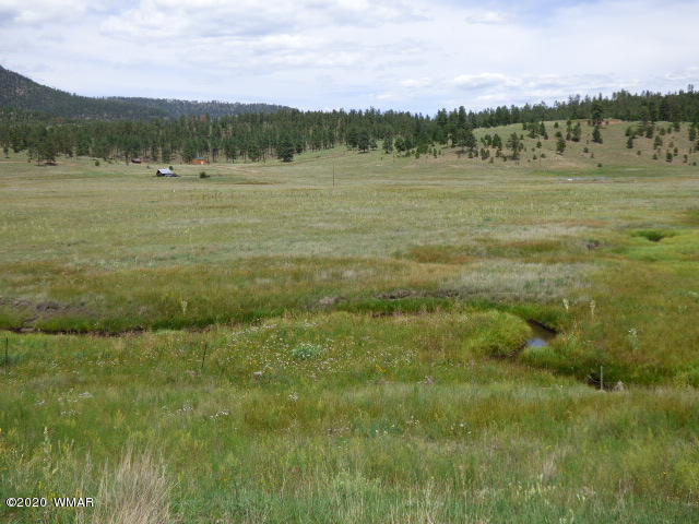 Lot 8 The Ranch Alpine, AZ 85920 - Photo 15 of 26 Gallery Image 15