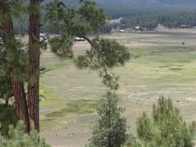 Lot 8 The Ranch Alpine, AZ 85920 - Photo 18 of 26 Gallery Image 18