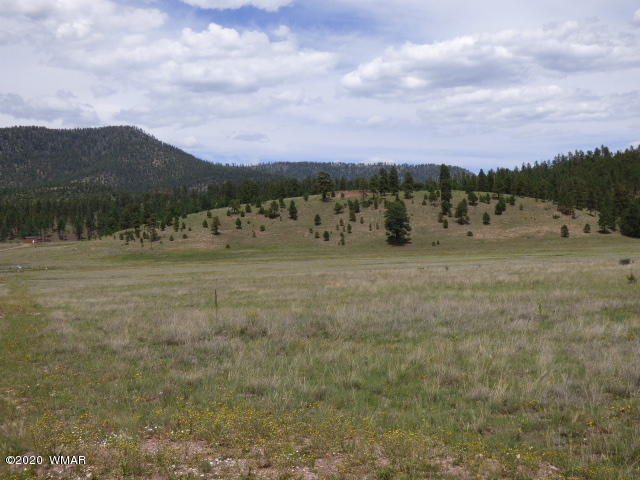 Lot 8 The Ranch Alpine, AZ 85920 - Photo 23 of 26 Gallery Image 23
