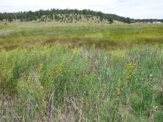 Lot 8 The Ranch Alpine, AZ 85920 - Photo 25 of 26 Gallery Image 25