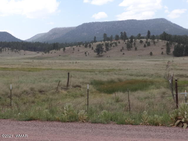 Lot 8 The Ranch Alpine, AZ 85920 - Photo 26 of 26 Gallery Image 26