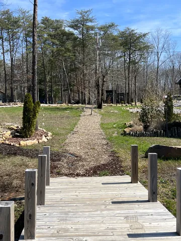 a view of a garden with a bench in the patio