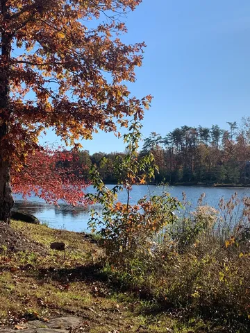 a view of a garden with a lake
