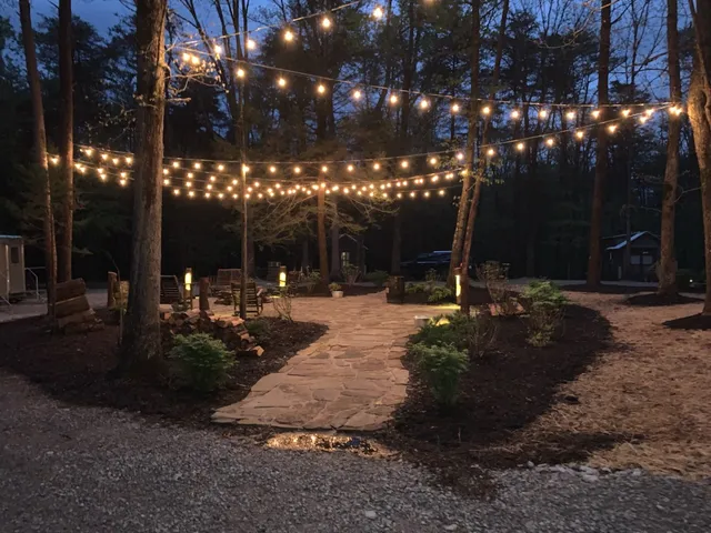 a view of a garden with a tree