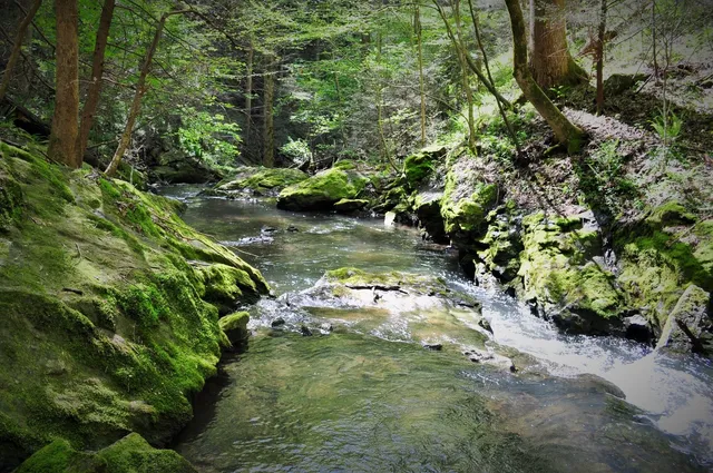 a sign broad on a wall