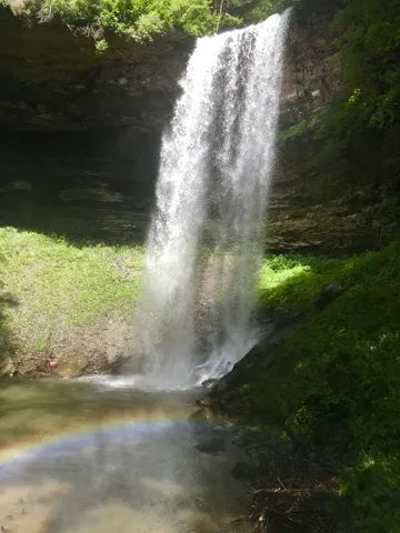 a view of outdoor space yard and patio