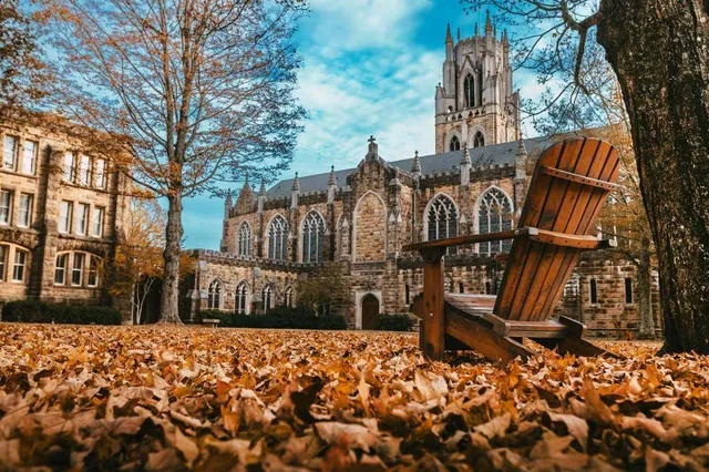 a view of outdoor space yard and green space