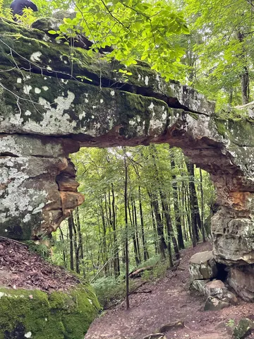 a view of lake from next to a yard