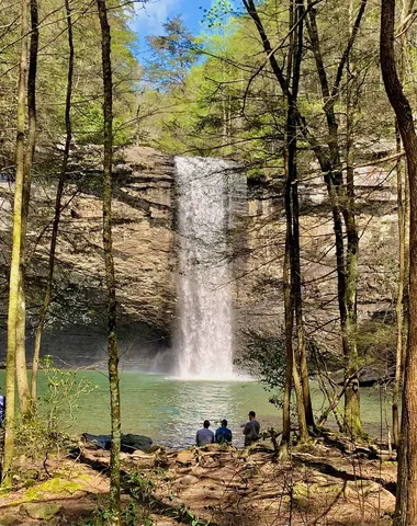 a view of a yard with wooden fence