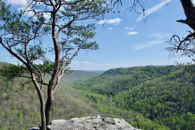 $425,000 | 52 Lillypad Lane, Tracy City, TN 37387