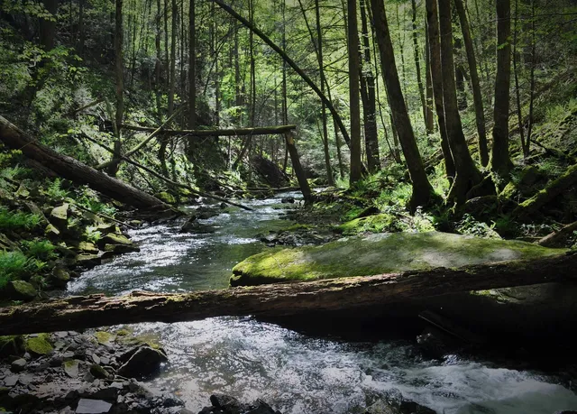 $425,000 | 52 Lillypad Lane, Tracy City, TN 37387