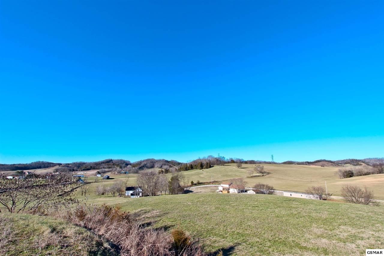 64 Upper West Road Parrottsville, TN 37843 - Photo 21 of 34 Gallery Image 21