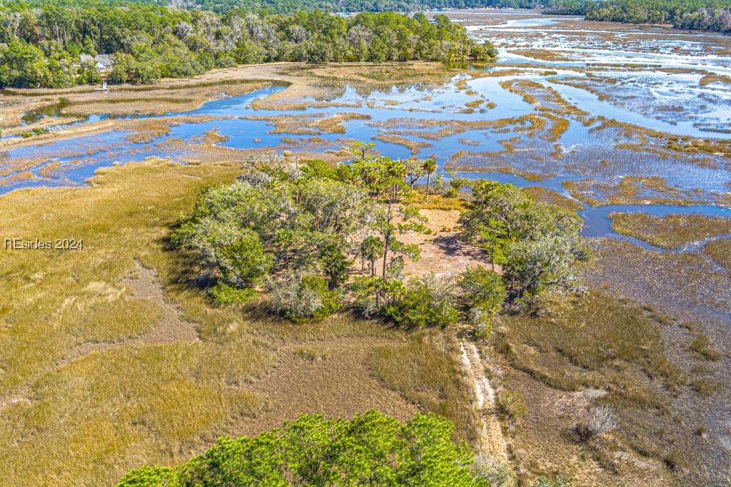 103 Palmetto Bluff Road Bluffton, SC 29910 - Photo 45 of 57 Aerial view of island on property.