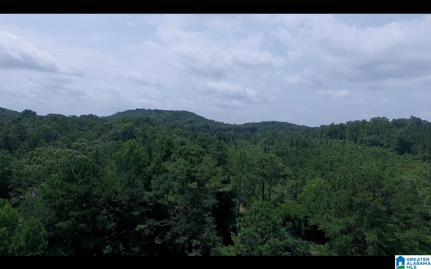 830 Mountain View Road, Unit 1 Talladega, AL 35160 - Photo 1 of 11