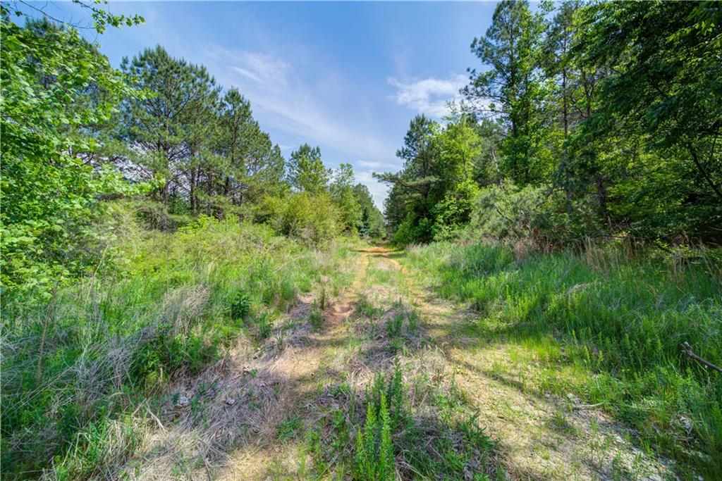8580 Nicholson Road Cumming, GA 30028 - Photo 3 of 20