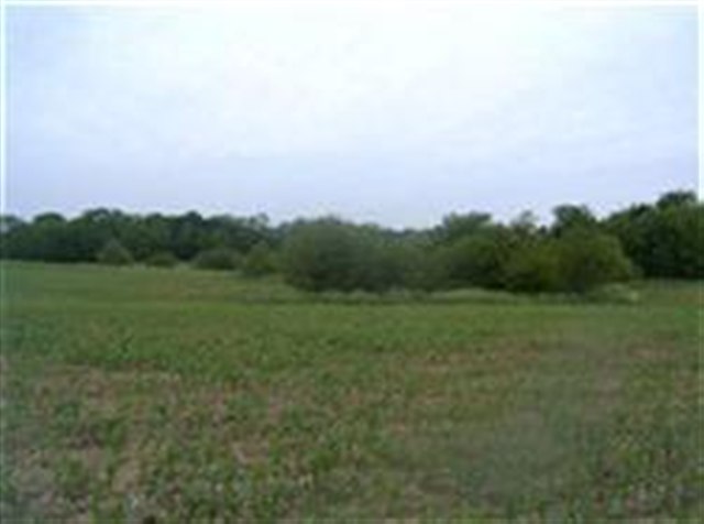 1150 North County Road 1150 Road Henry, IL 61537 - Photo 1 of 3 Gallery Image 1