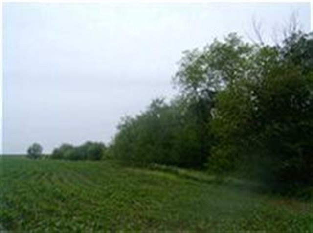 1150 North County Road 1150 Road Henry, IL 61537 - Photo 2 of 3 Gallery Image 2